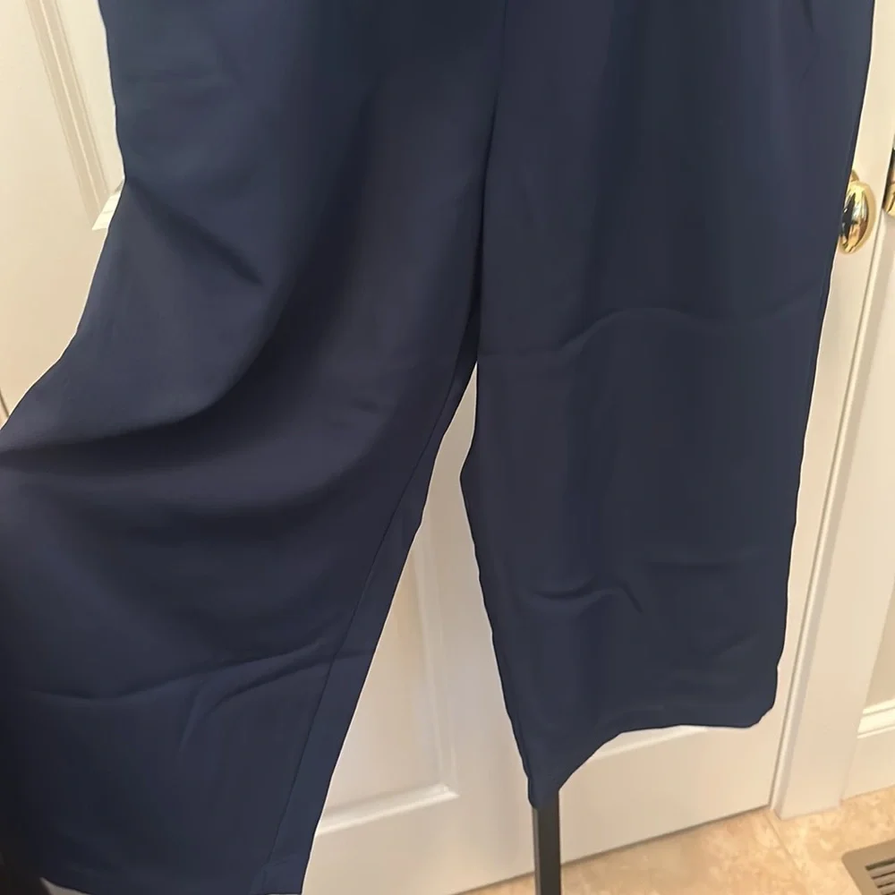 Anthropologie Bishop + Young Paperbag Crop Pants NEW - Picture 9 of 14